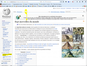 wiki_livre2